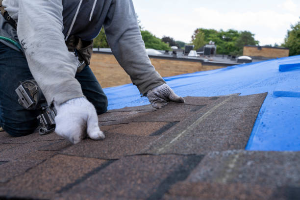 Best Local Roofing Companies  in Broxton, GA