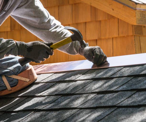 Best Roof Gutter Cleaning  in Broxton, GA